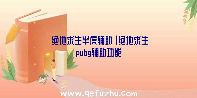 「绝地求生半虎辅助」|绝地求生pubg辅助功能